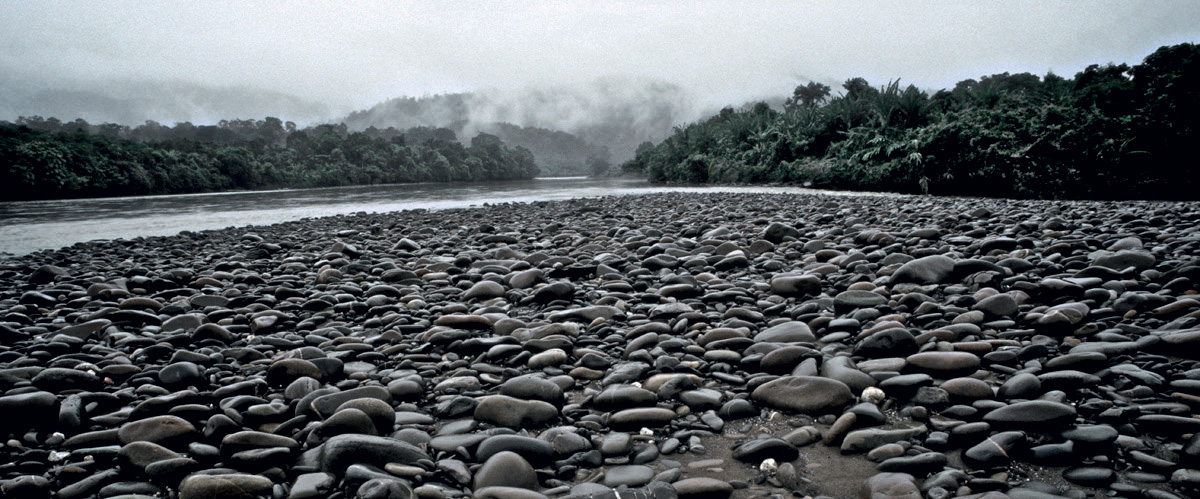 David Cayless River Beach